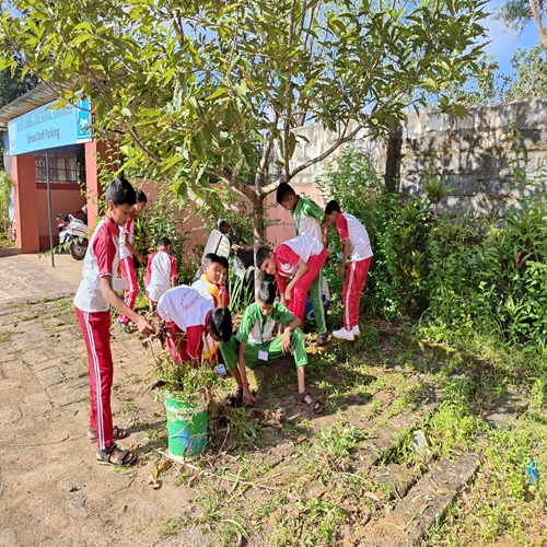 Image 10